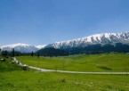 Srinagar - Gulmarg