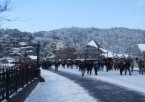 Shimla - Kufri - Shimla